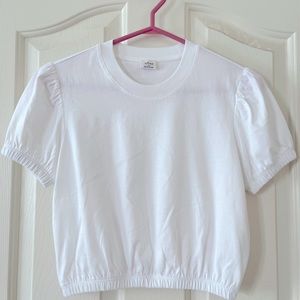Aritzia Crop Top Tshirt